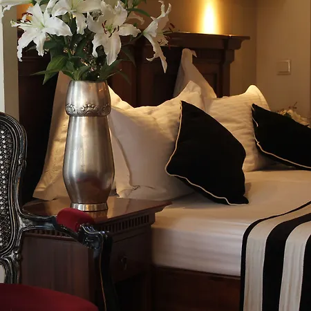 Hotel Domenii Plaza By 4*